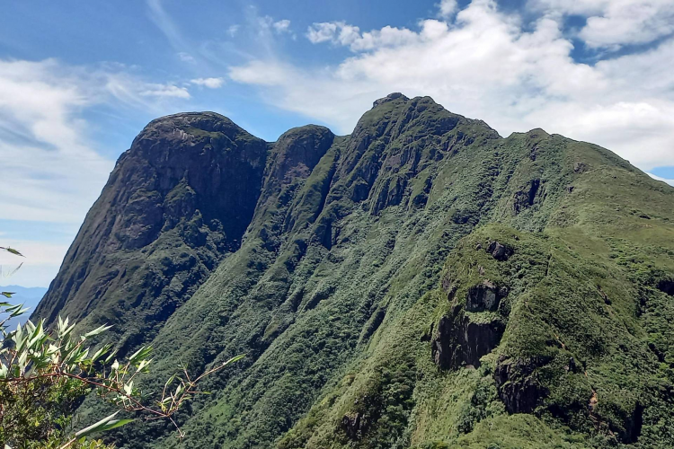 Reabertura de parques estaduais