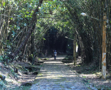 Ilha das Cobras começa a mudar de cara para receber a Escola do Mar