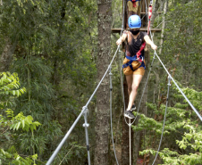 Um ano de reabertura do Vila Velha.