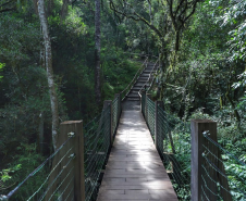 Paraná possui três projetos em fase de estruturação de concessão no âmbito do turismo