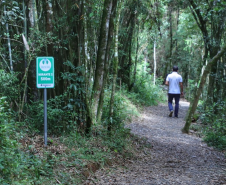 Paraná possui três projetos em fase de estruturação de concessão no âmbito do turismo