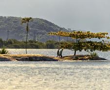 CAMPANHA RETOMADA 001