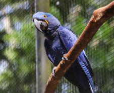 fozdoiguacucataratas_0043