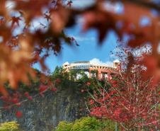 Destinos turísticos paranaenses se preparam para receber visitantes neste fim de ano