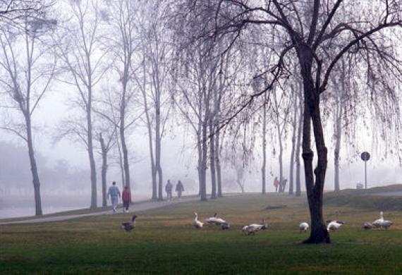 Parque Barigui