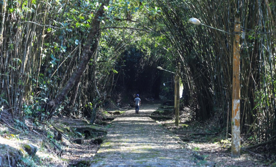 Ilha das Cobras começa a mudar de cara para receber a Escola do Mar
