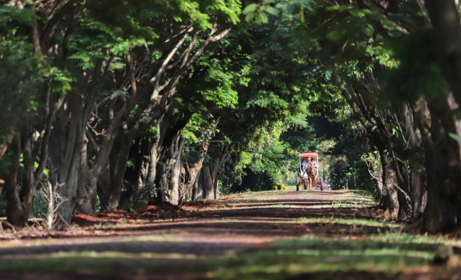 Paraná 2021 - Conheça o Paraná