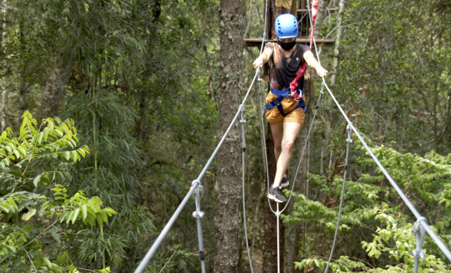 Um ano de reabertura do Vila Velha.
