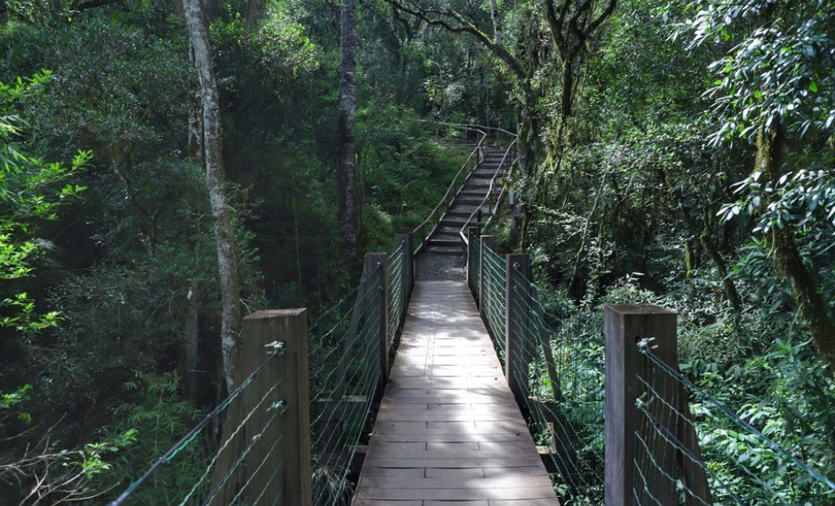 Paraná possui três projetos em fase de estruturação de concessão no âmbito do turismo