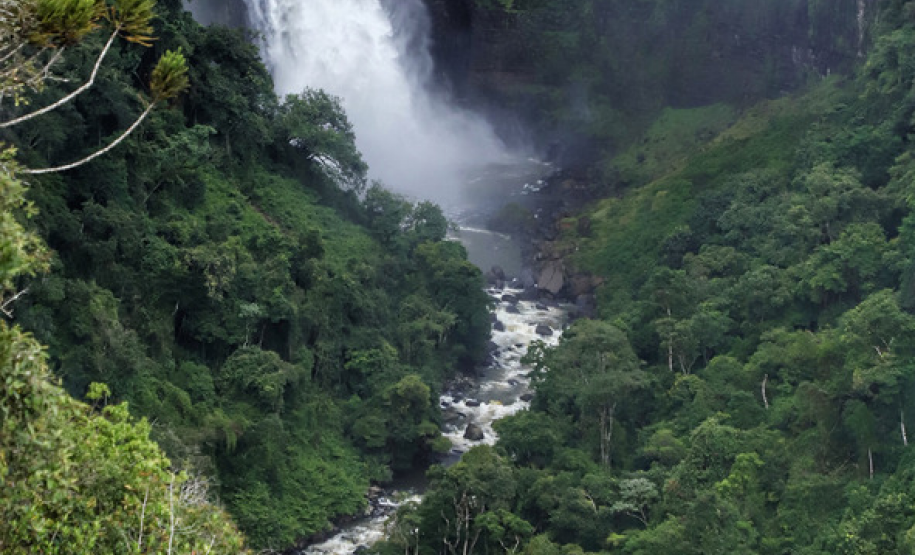 Paraná possui três projetos em fase de estruturação de concessão no âmbito do turismo