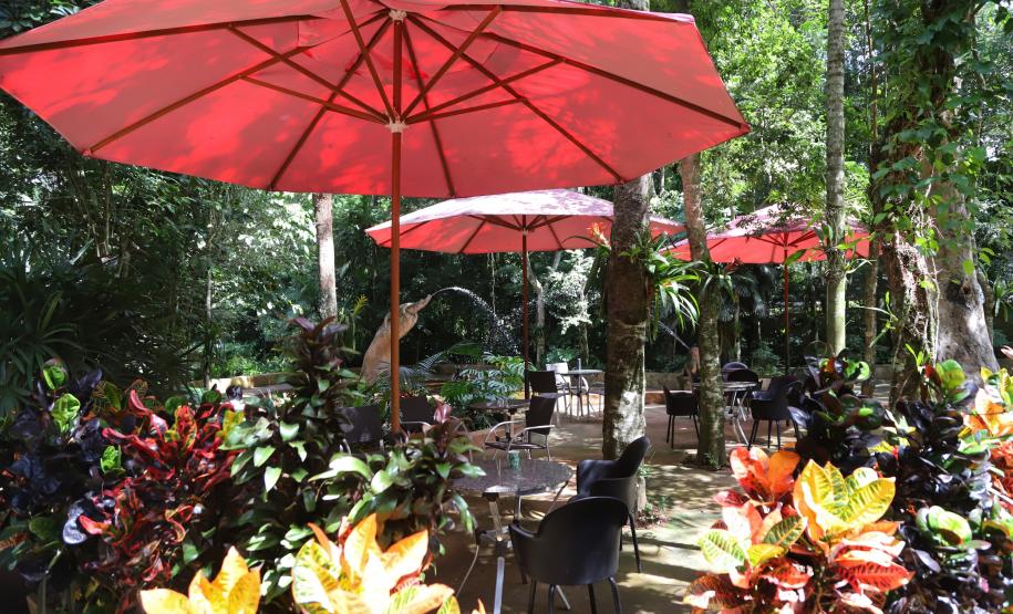 fozdoiguacucataratas_0033