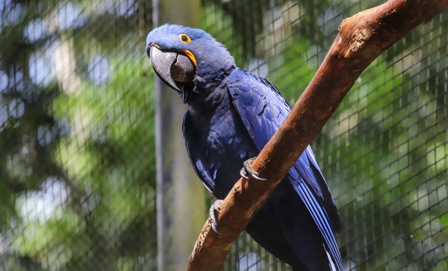 fozdoiguacucataratas_0043