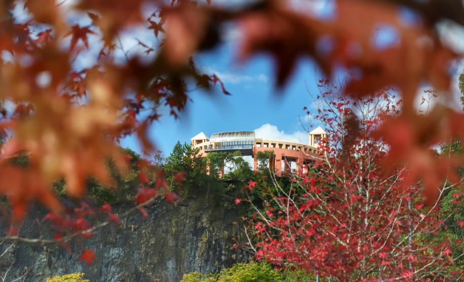 Destinos turísticos paranaenses se preparam para receber visitantes neste fim de ano